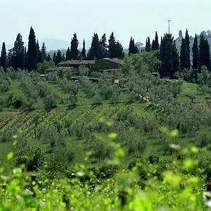  Landhuis Fattoria Casa Sola Italië